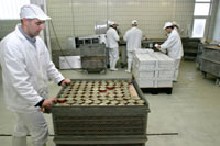 Food Industry